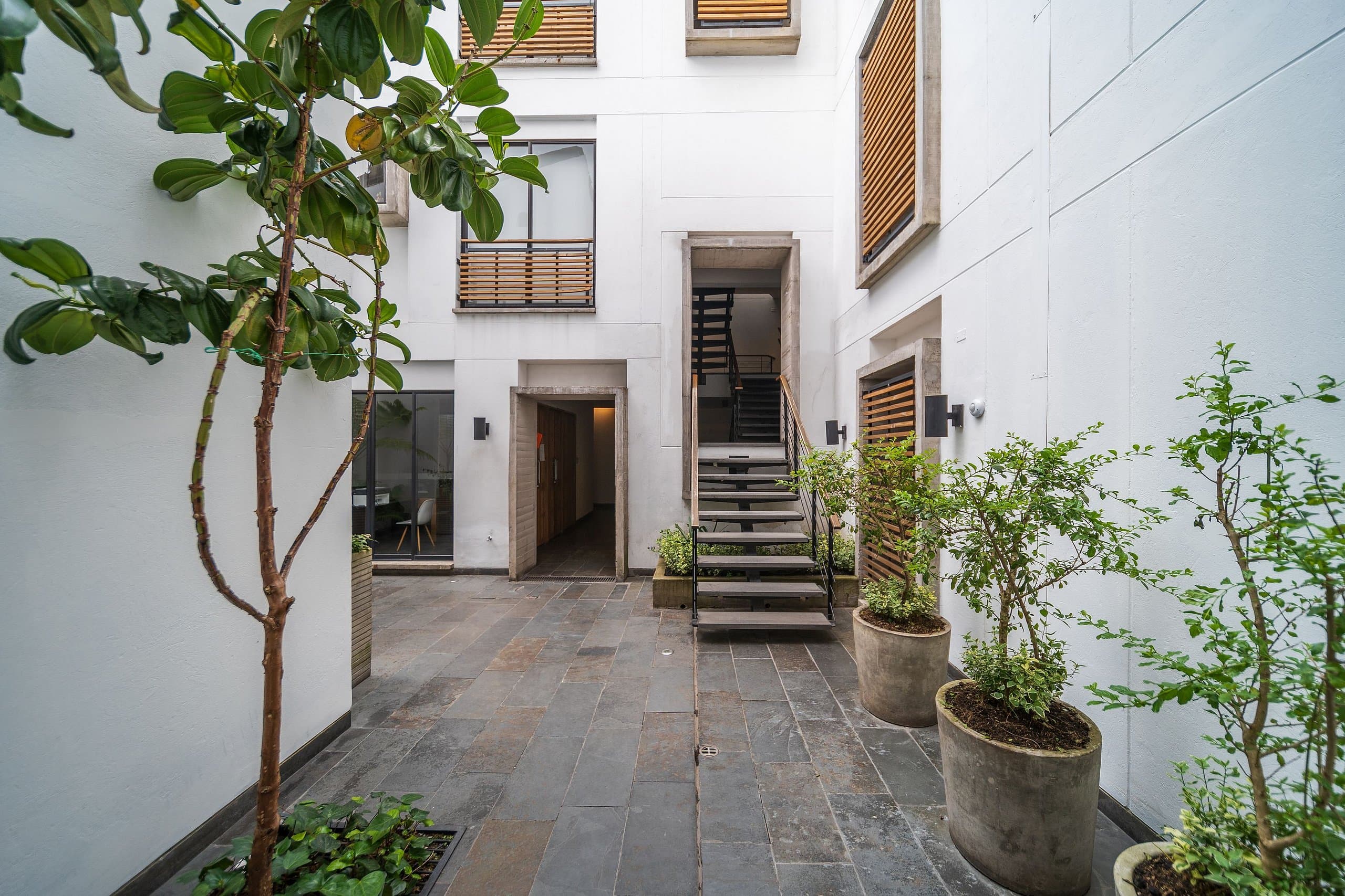 Vista 3 de La Antigua Candelaria x Ahead